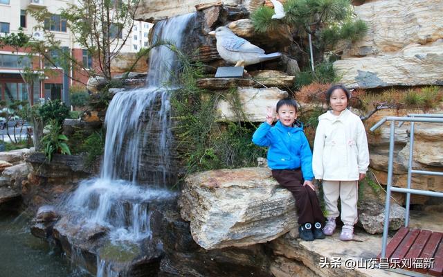 携老伴虹桥花园赏菊（下）