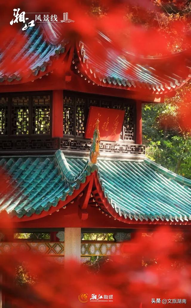 红了！湖南“追枫”地图更新