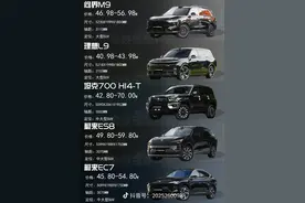 50万左右新能源SUV横评：谁才是“最帅黑武士图片