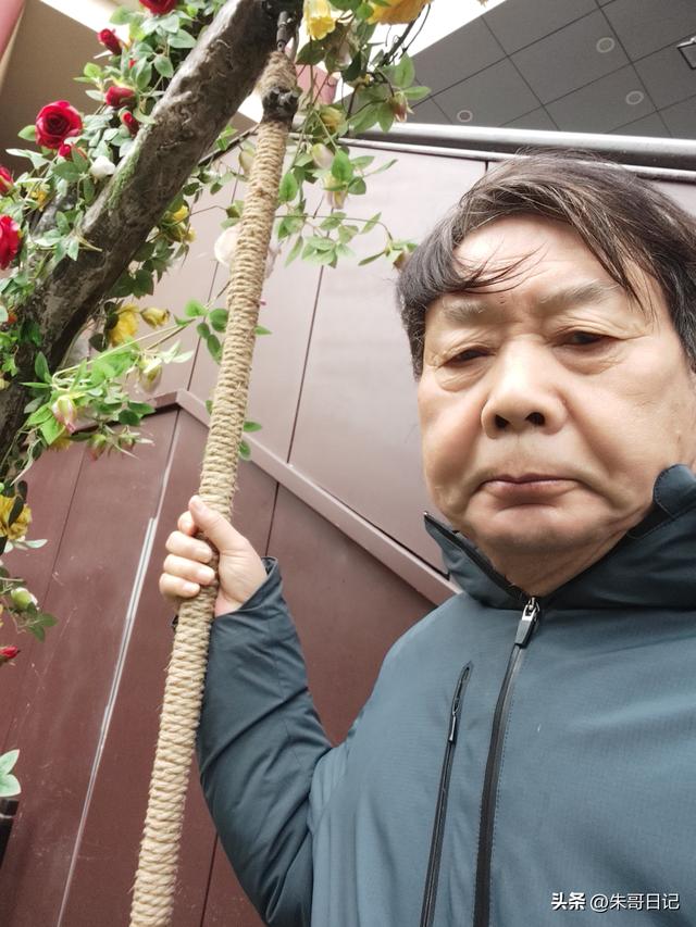 马年初10独自开封清明上河园记。