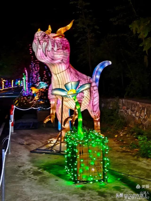 当光影遇上森林，汉中的夏夜如此动人清凉！