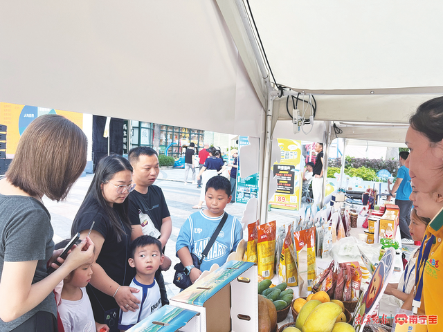 听故事忆峥嵘 探秘芒果“变形计”——4条夏季百色游精品路线发布，为暑期研学提供更多选择