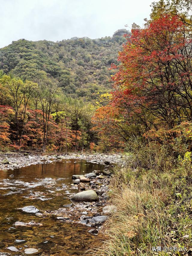 2025辽宁赏秋之旅日记(2)——游览丹东蒲石河森林公园