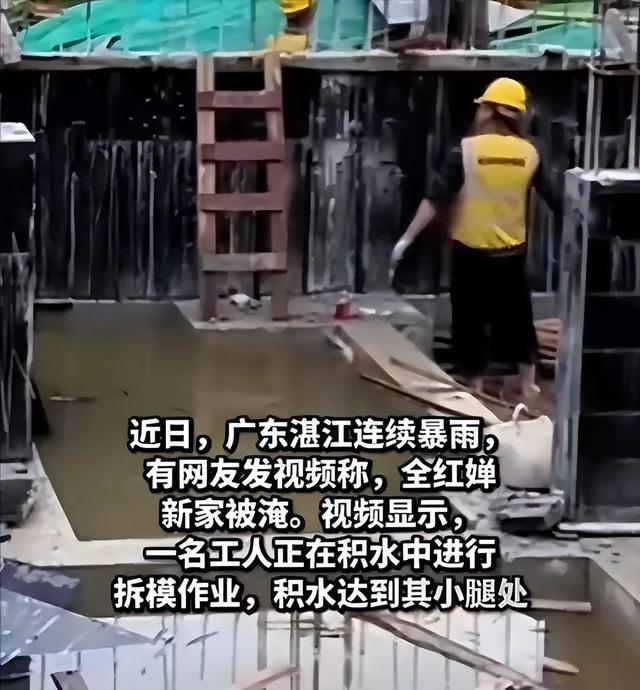 妥协了!婵宝家的邻居终于把影响婵宝家建新房进程的树修剪好，