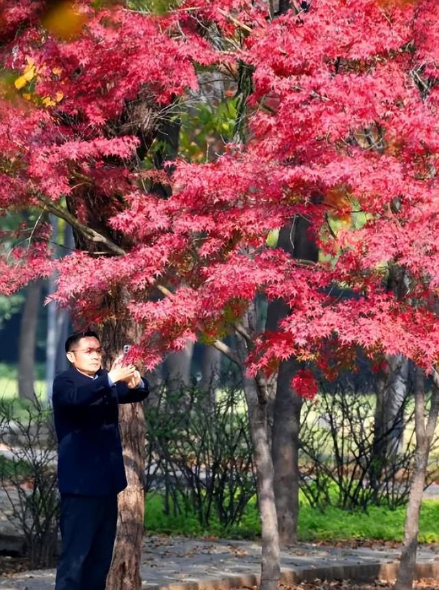 五彩斑斓的白龟湖国家湿地公园