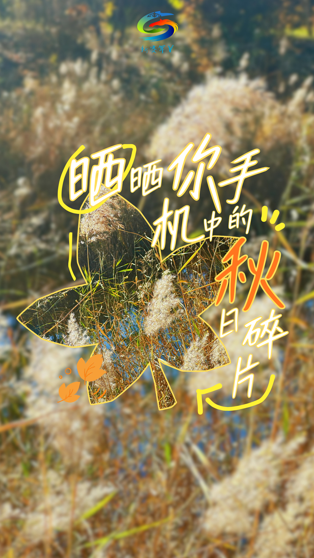 北疆文化 遇鉴赛罕 | 晒晒你手机中的赛罕秋色