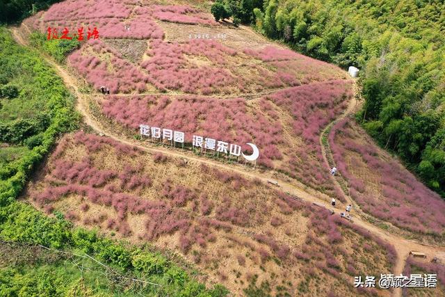 定了！假日就来这儿：游古村，赏粉黛花海