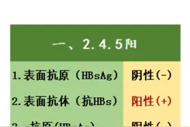 乙肝五项全面分析，大三阳、小三阳不再陌生！图片