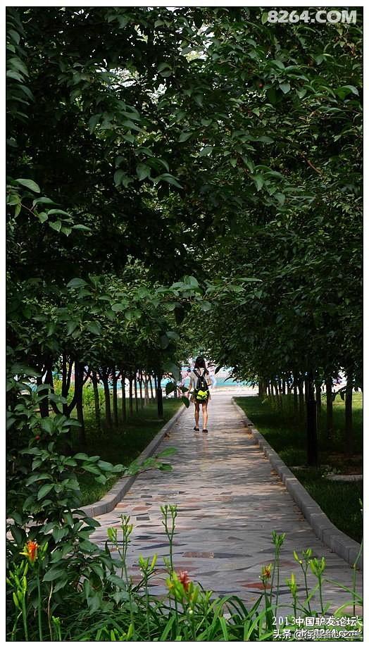 山东行游影记（18）—济南山东大学（五）