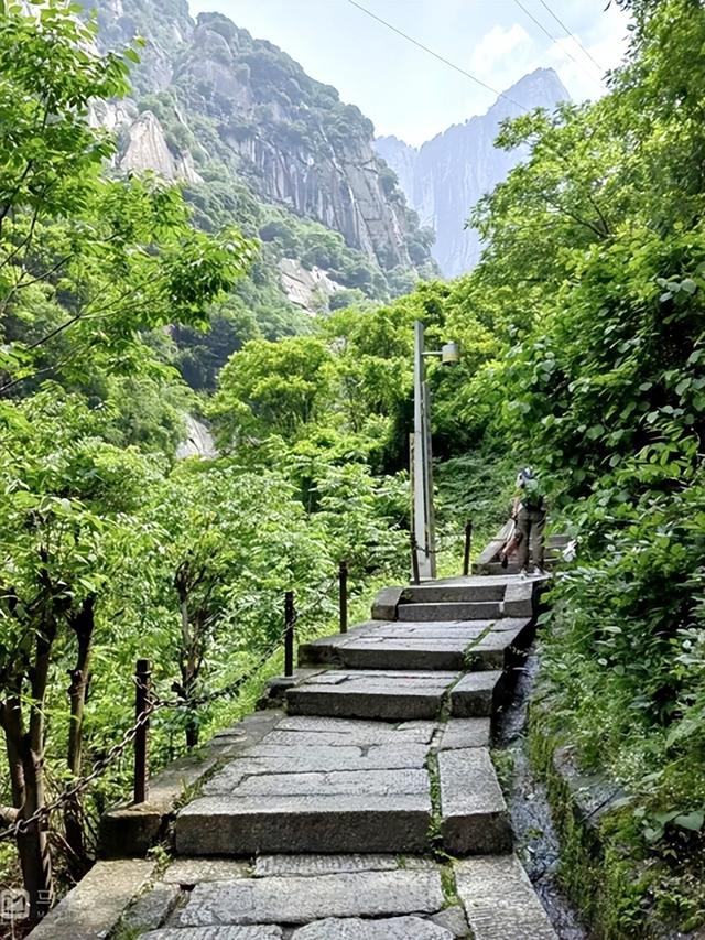 2025年7月第三周 渭南文化旅游资讯微报（组图）