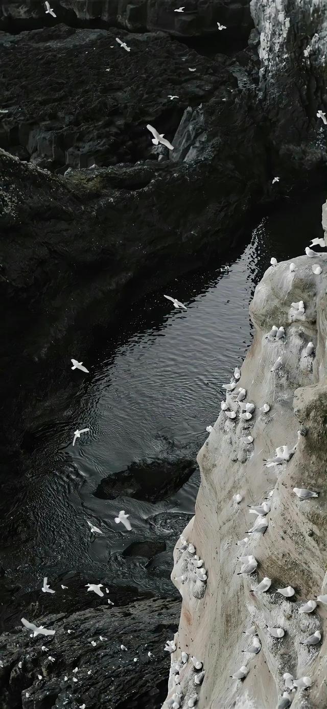 治愈的风景壁纸