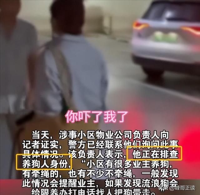 丹阳杜宾犬最新后续：网友不满处理依旧炸锅，养狗人终于登门道歉