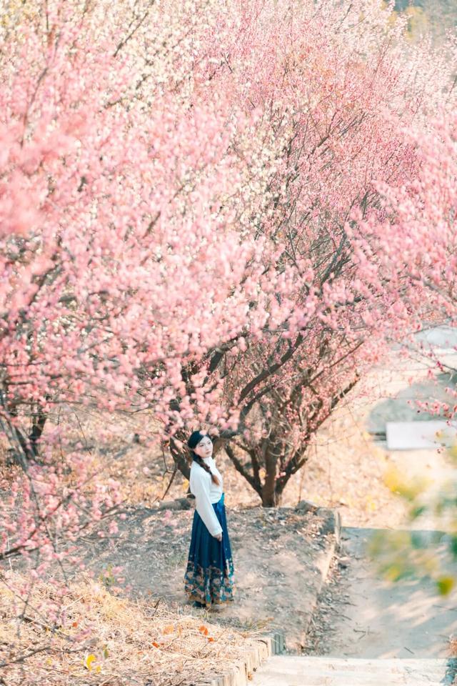 踏雪寻梅！限定版冬日浪漫，来黄陂接收！