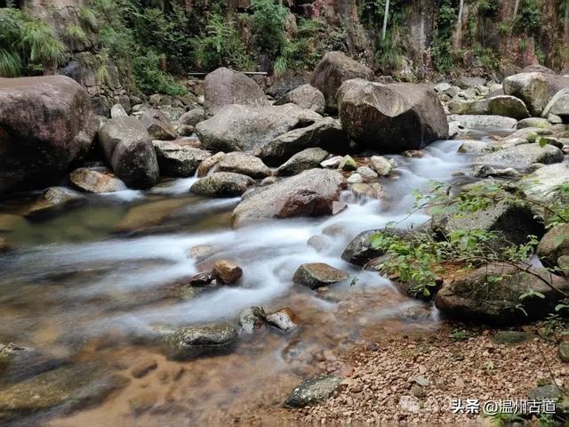 温州这个以畲族始祖命名的4A级景区，秘藏着一座“生物王国”！