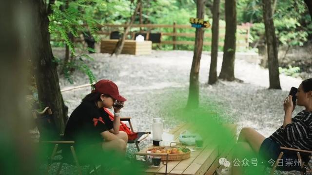 枕溪水、伴林风，崇州这个营地好玩又出片