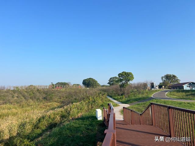 吴城狮子山观鸟