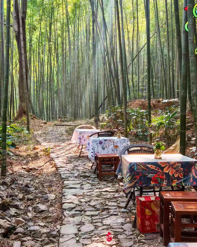 从1公里到33公里,苏州15座山全强度登山攻略!