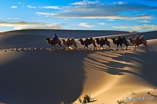 这五类人千万不要一起去旅行，否则就是灾难现场，尤其是第四种