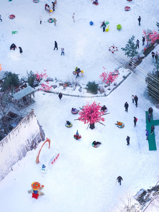 山东人古法过冬大赏