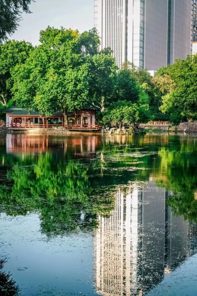 来汉口 逛江汉｜汉口有一颗绿色的心脏