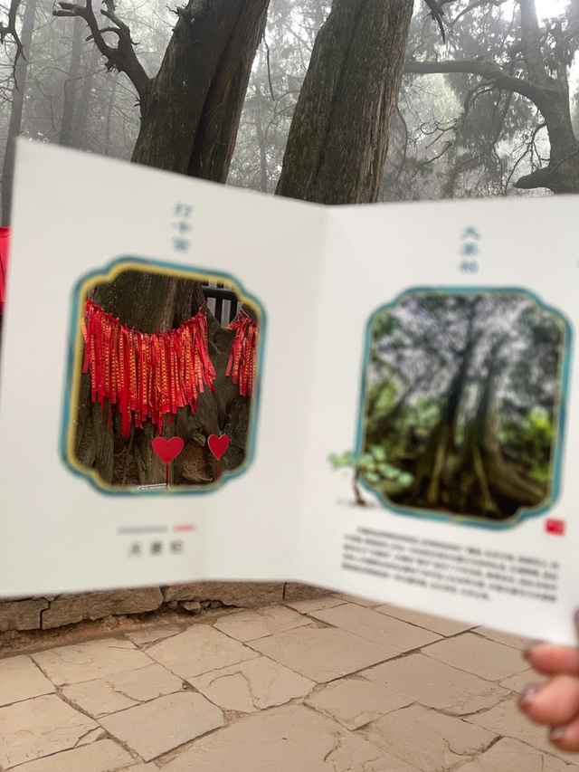 秋假冲剑阁！带娃解锁古道雄关里的“嗨玩密码”