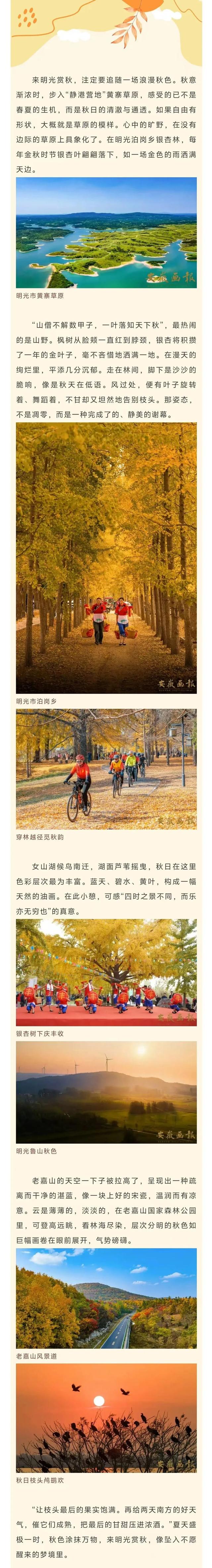 明光秋日凭实力出圈！