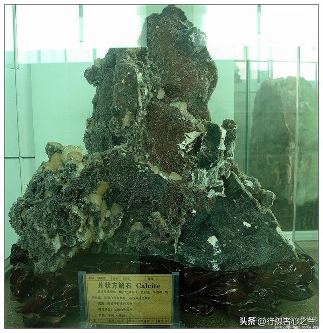 山东行游影记（31）—平邑天宇自然博物馆（六）