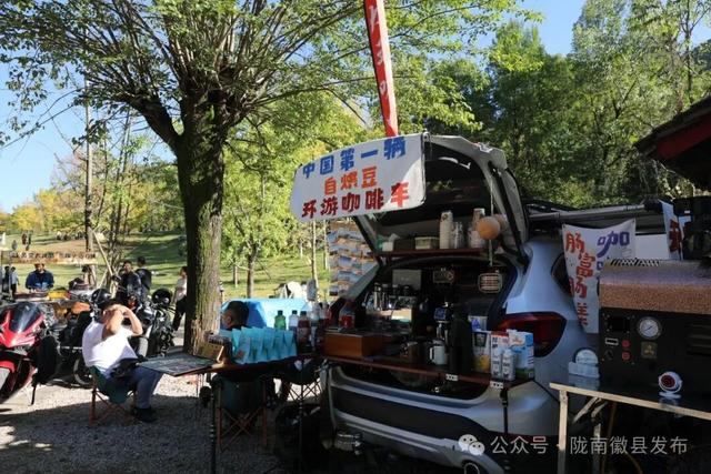 徽县田河村：千年银杏遇“移动咖啡” 烟火气暖了旅居人