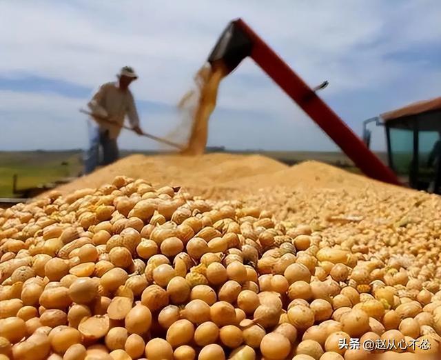 贪心砸了饭碗？巴西硬抬价，中国 130 万吨大豆瞬间流向阿根廷！