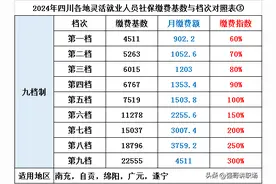 最新汇总！2024年四川各地灵活就业人员社保缴费基数档次和月缴额图片