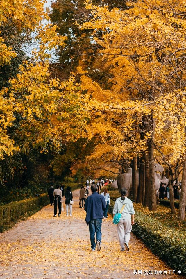 南京的这些瞬间，藏着让人舍不得离开的理由