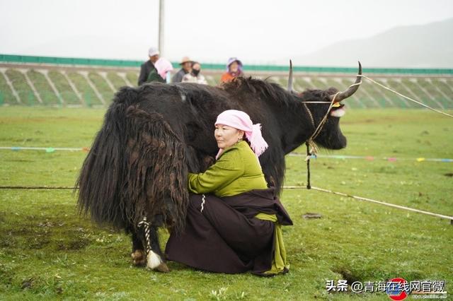 祁连县峨堡镇第十届“丝路古镇・黄菇之乡”草原风情文旅活动启幕