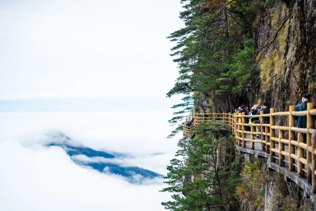 第三只眼看中国·打卡魅力江西 | 外籍博主赞叹明月山云海奇观，高山奇景震撼世界！