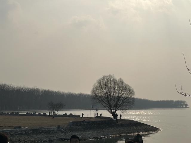 江苏淮安洪泽湖——周桥大塘遗址