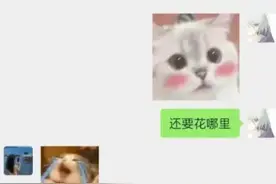 胖猫事件里11个最细思极恐的细节，最全聊天记录，大家引以为鉴图片