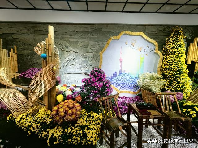 杭州植物园的菊花展——一场关于菊花的饕餮盛宴（一）