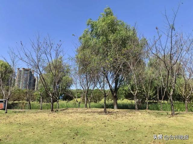 价格大跳水！二三百元！很多台州人坐不住了