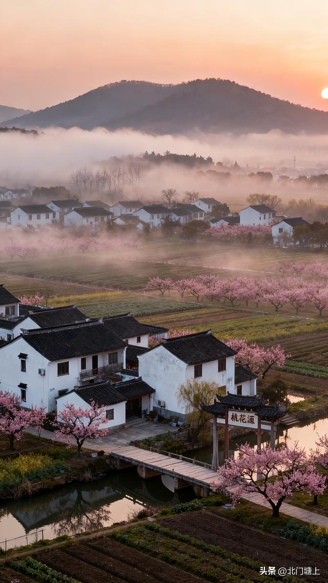 阳山镇桃源村：水美田园地 梦里“桃花源”