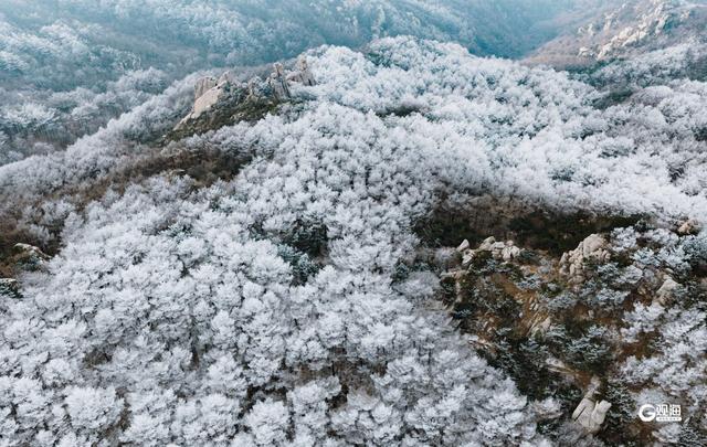 崂山迎来雾凇：石与松的素色禅意