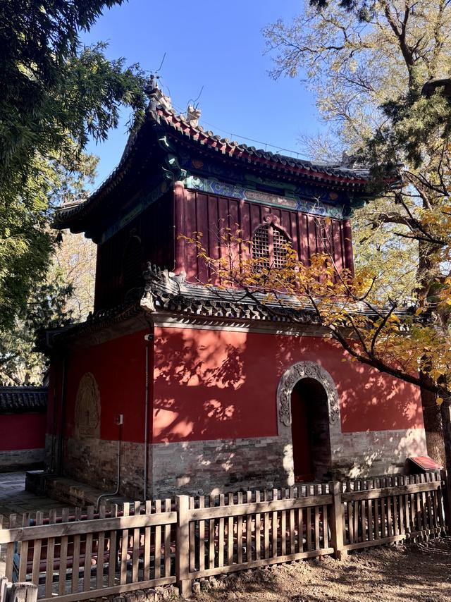 博物FUN | 大觉寺：千年古刹的禅意与新生