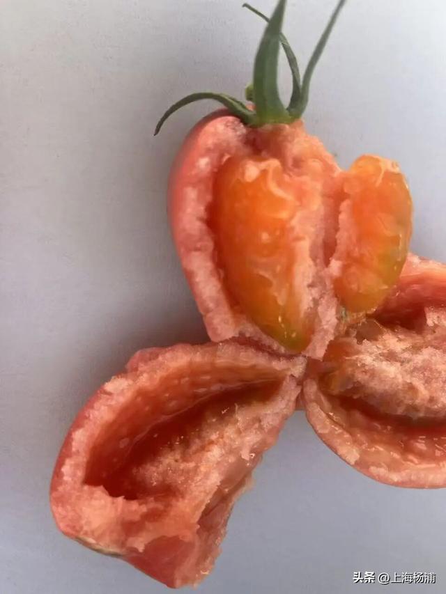 来复兴岛当一天快乐“岛民”