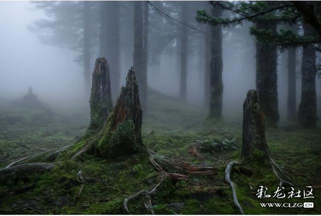 迷雾森林-探秘轿子山