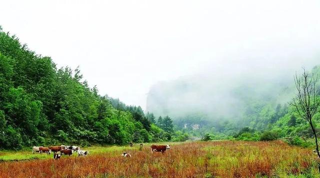 山西这三个县上榜“中国最美”！它们到底美在哪里？