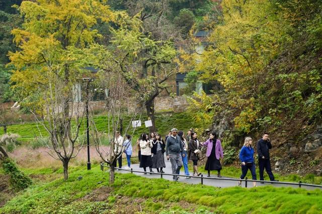 “出圈”国际！多国旅行商打卡随州