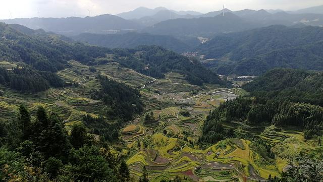 柳州周边小众景点（元宝村、小桑村、青山寨、培秀村、冬竹山）