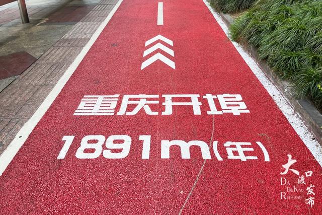 好多“重庆言子儿”,快点来大渡口打个卡!