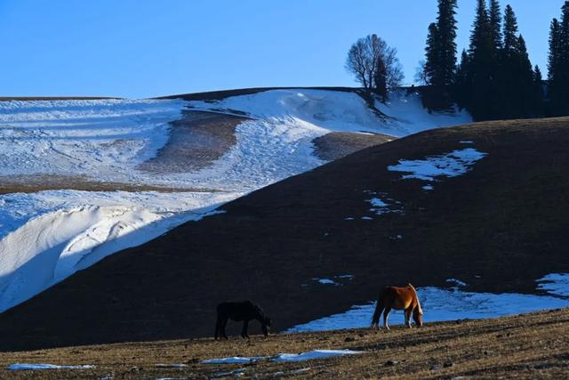 如要选一个冬季最佳拍雪景的地方,首选一定是它