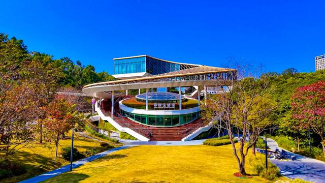 没人觉得龙岗的能量场很高吗?