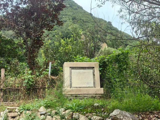 南口镇羊台子村：京郊秋日里的桃源胜地