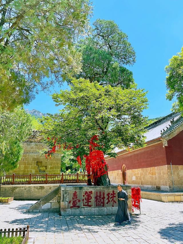 好寺灵岩(济南长清区灵岩寺)